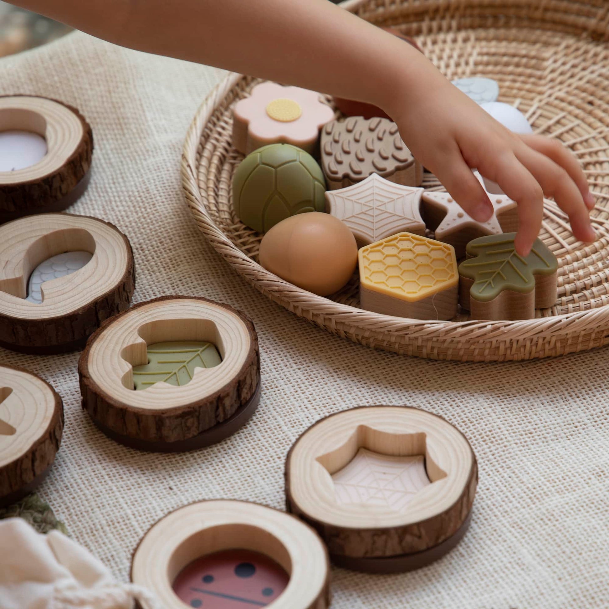Nature Feel and Find - 24 pc. set