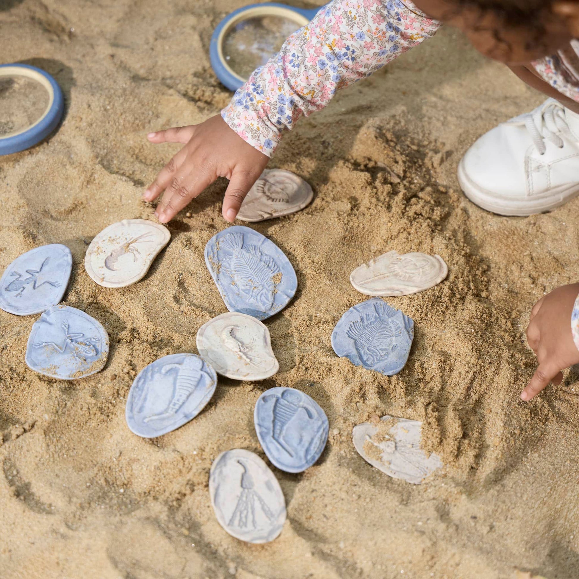 Magnetic Matching Fossil Stones: Aquatic Life - Set of 8