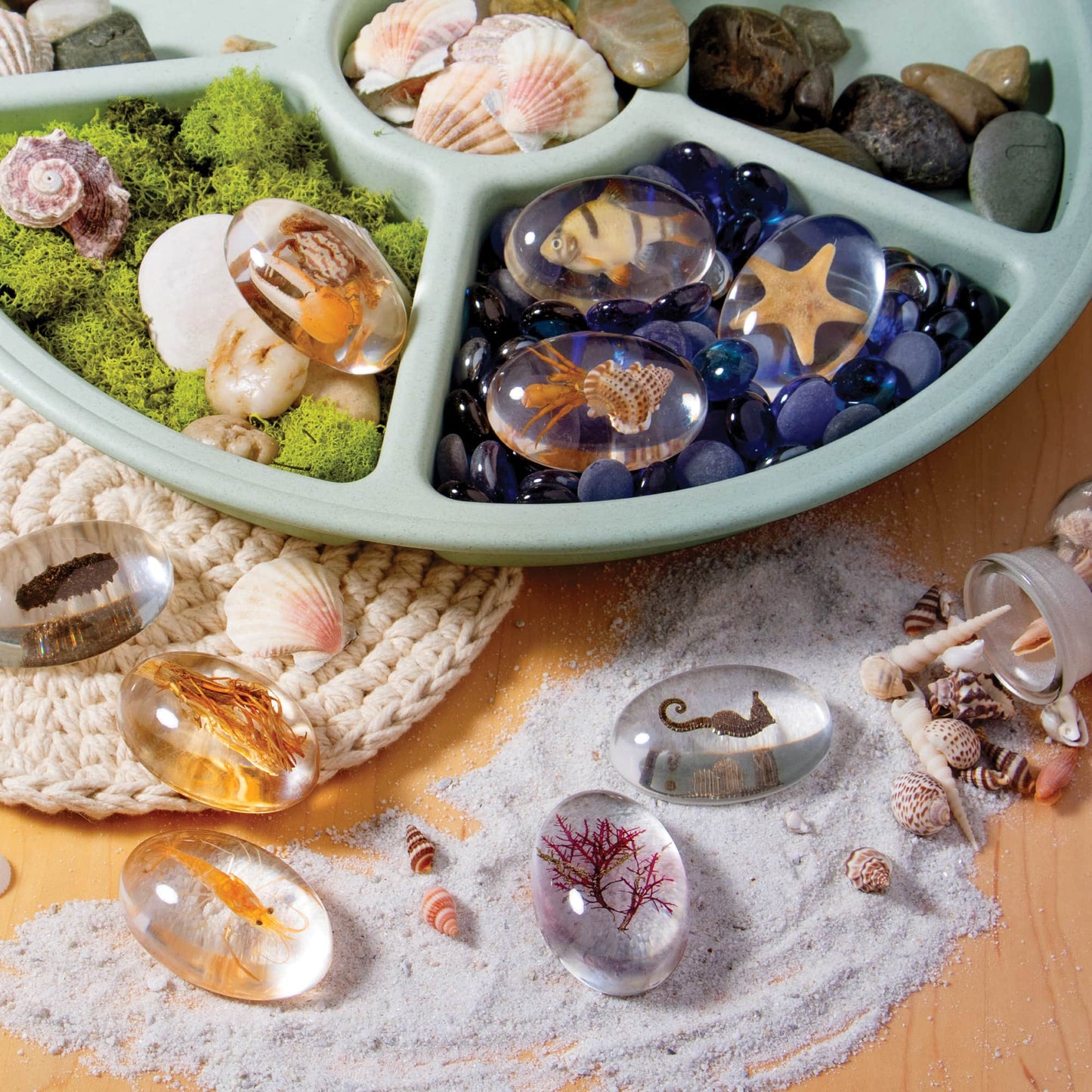 Specimen Stones