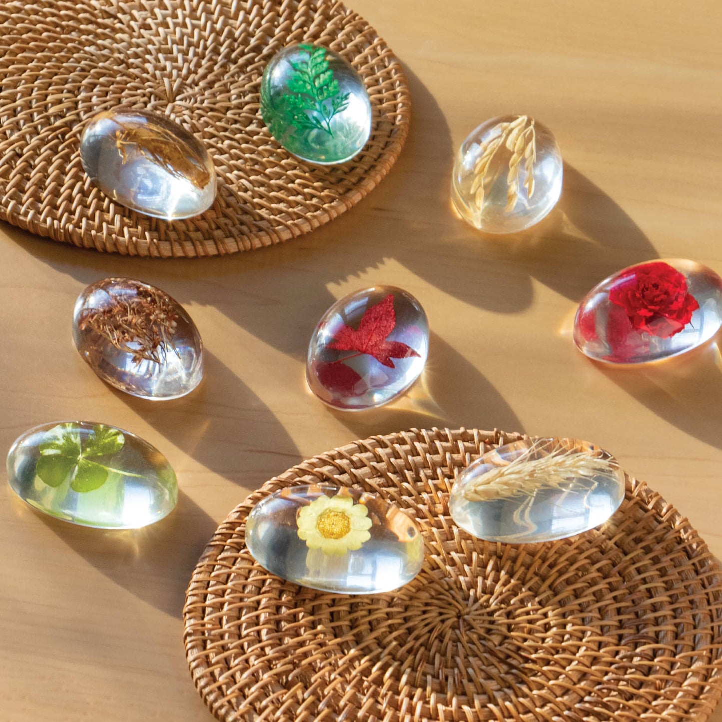 Specimen Stones