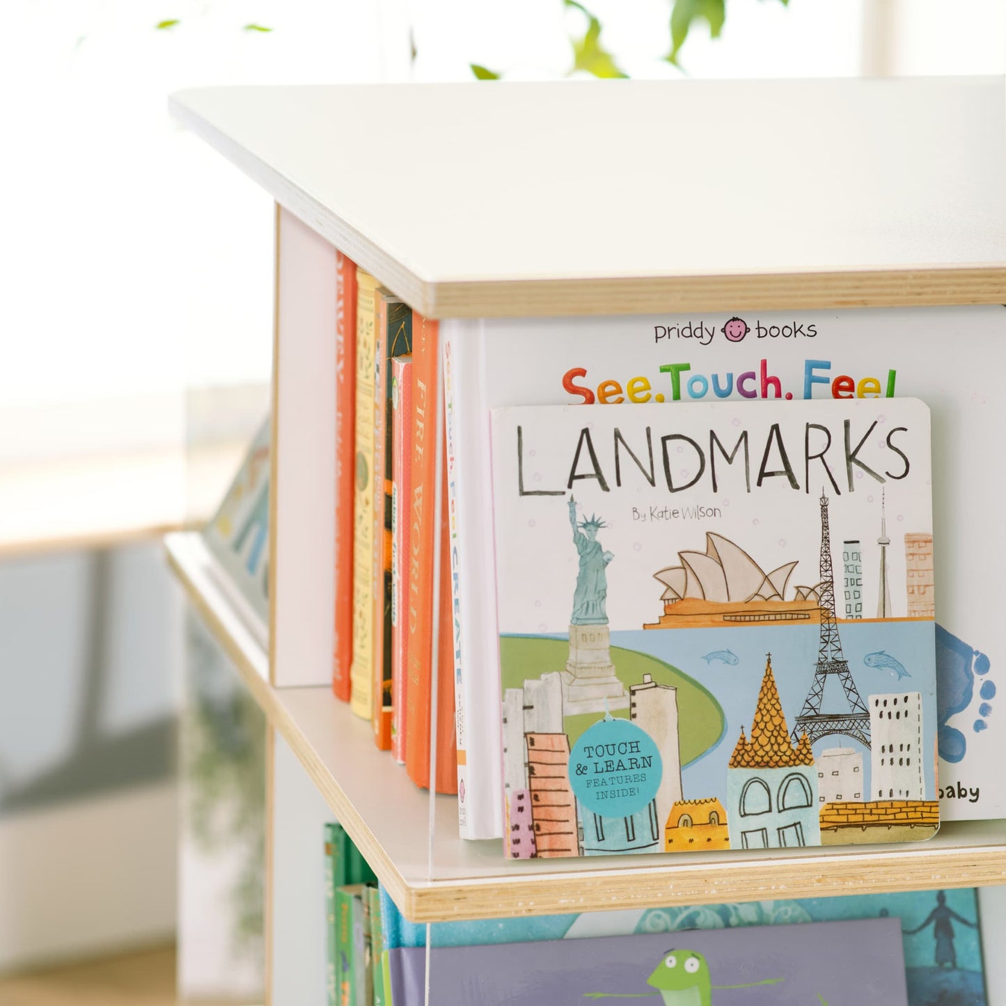 EdQ Rotating Big Book Display